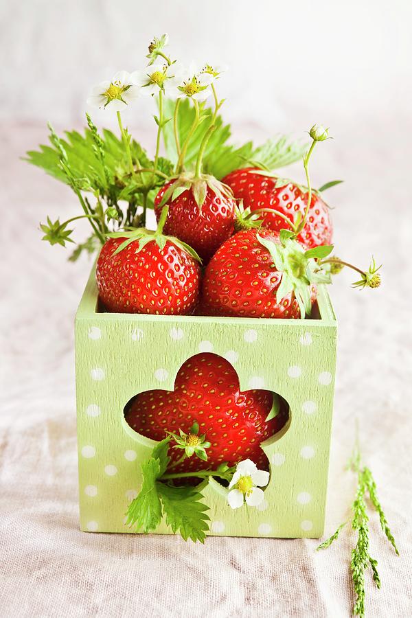 Fresh Strawberries In A Square Vase Photograph by Atelier Hmmerle