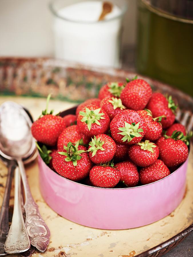 Fresh Strawberries In An Enamel Pot Photograph by Hannah Kompanik