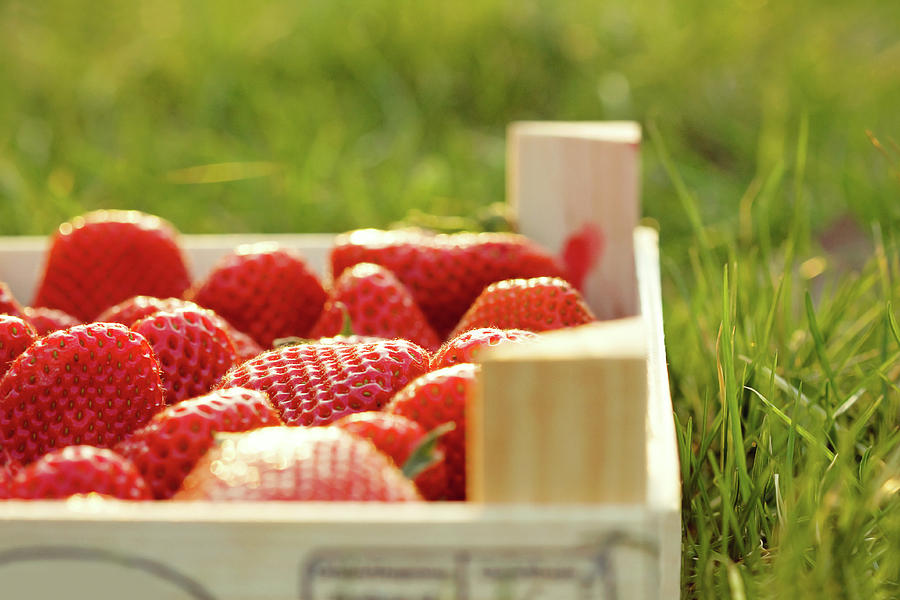 Fresh Strawberries In Wooden Crate Photograph by Kelly Sillaste