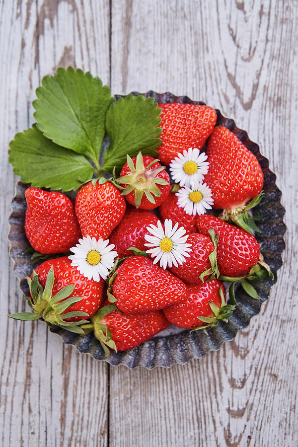Fresh Strawberries With Daisies In A Baking Pan Photograph by Brigitte Sporrer
