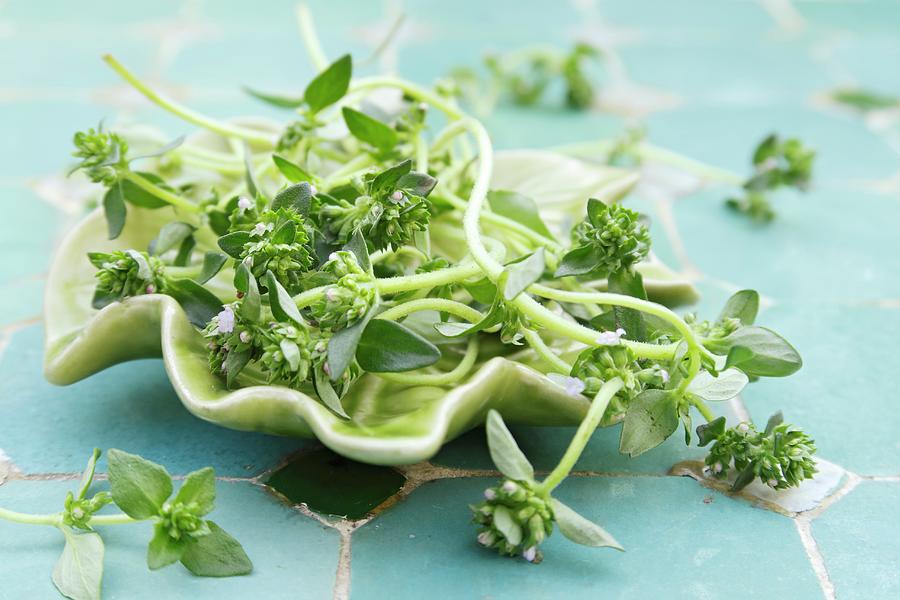 Fresh Thyme In A Leaf-shaped Bowl Photograph by Petr Gross