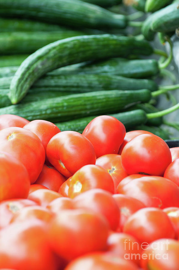 Fresh Tomatoes And Cucumbers Photograph by Microgen Images/science Photo Library