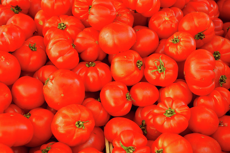 Fresh tomatoes in the market Photograph by Steve Estvanik
