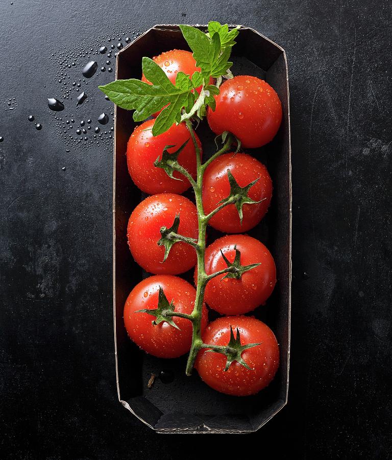 Fresh Tomatoes With A Leaf In A Carton Photograph by Ludger Rose