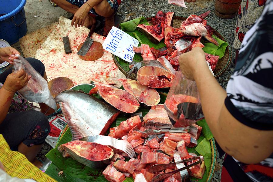 Fresh Tuna At A Market In Thailand Photograph by Kaktusfactory