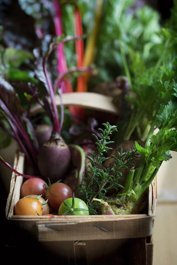 Fresh Vegetables In A Wooden Basket Photograph by Tina Engel