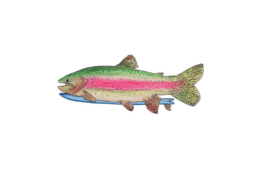 Trout Painting - Rainbow Trout On A Fish by Tate MacDowell Trout Painting - Rainbow Trout On A Fish by Tate MacDowell