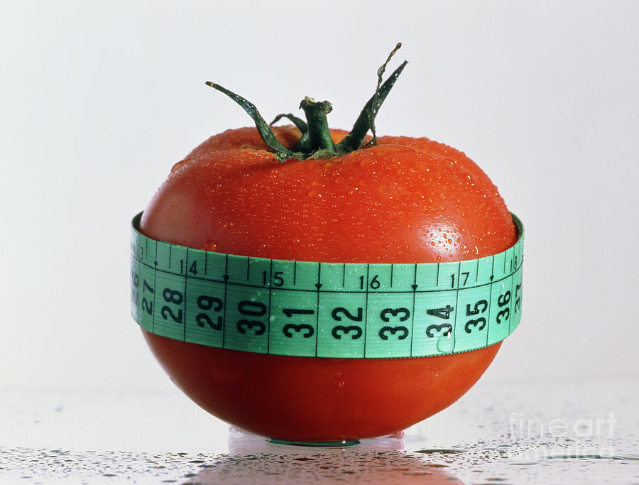 Fresh Whole Tomato Tied With A Tape Measure Photograph by Oscar Burriel/science Photo Library
