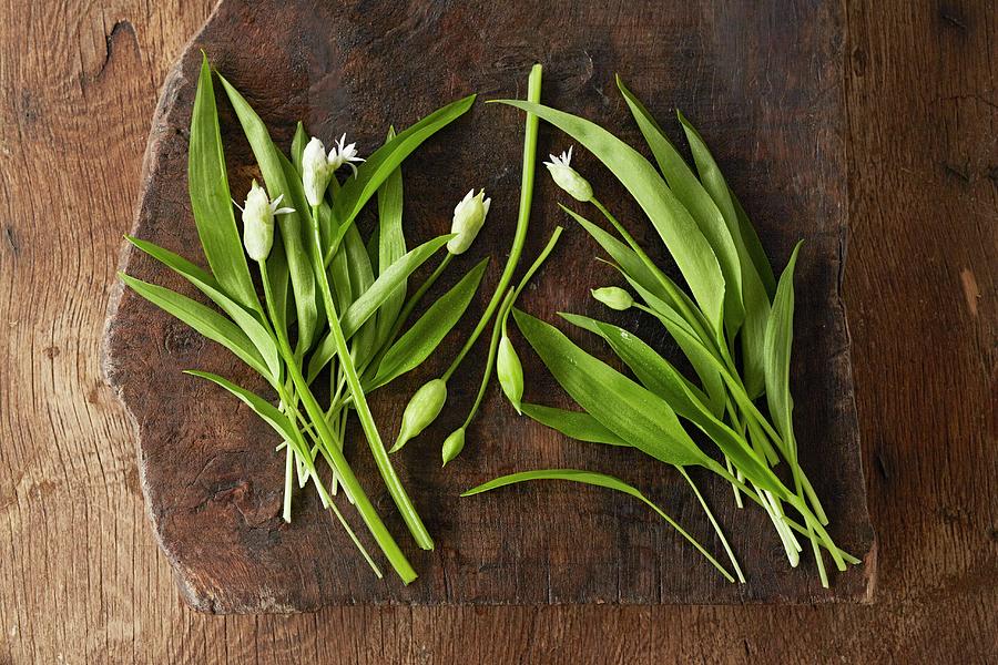 Fresh Wild Garlic Flowers With Buds Photograph by Clive Streeter