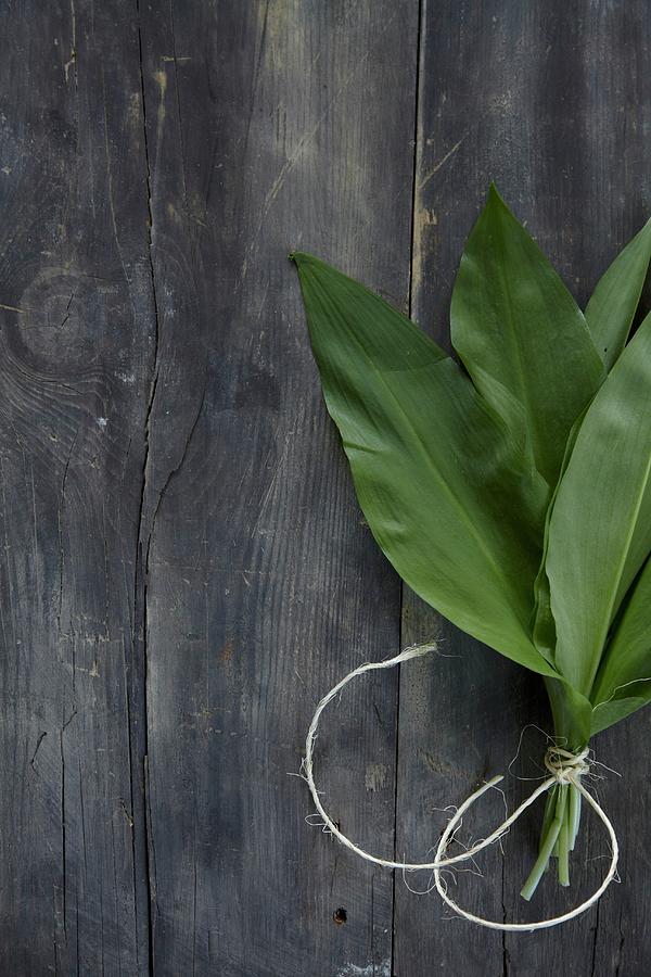 Fresh Wild Garlic Leaves, Tied Together With String, On A Wooden Background Photograph by Anke Schtz