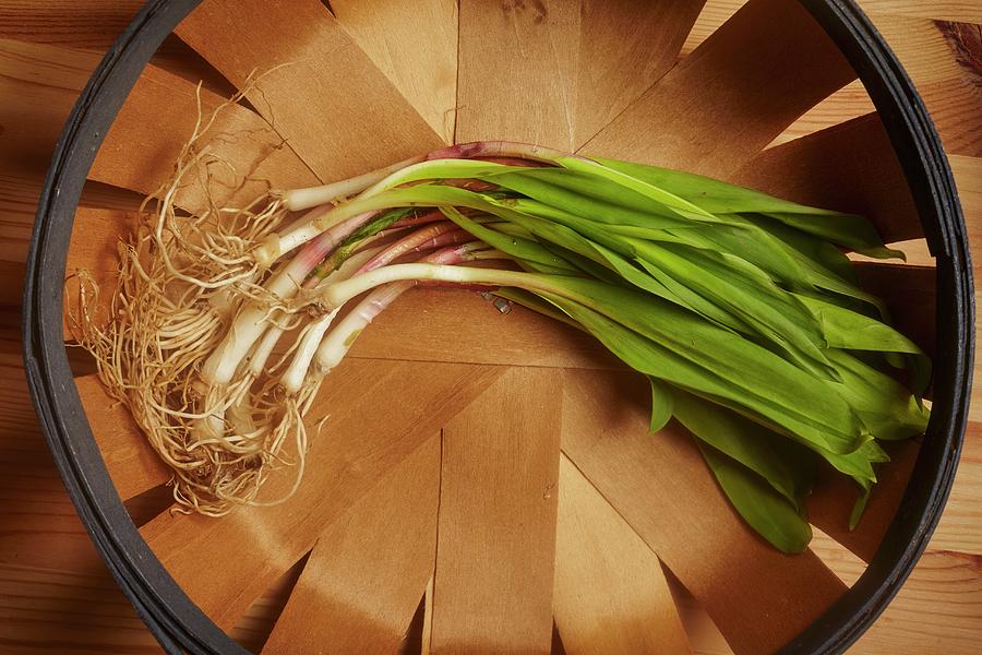 Fresh Wild Leeks In A Wooden Basket Photograph by Brian Yarvin