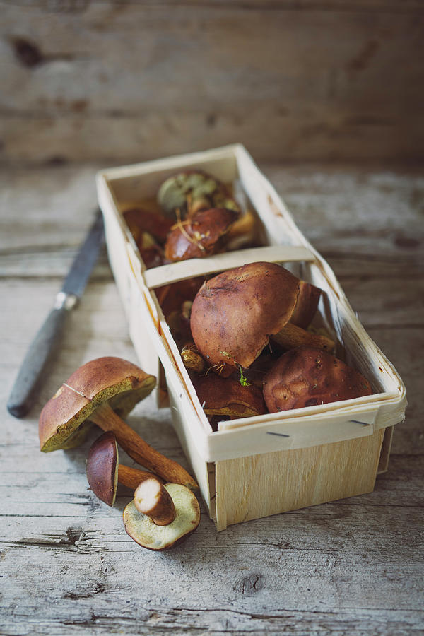Fresh Wild Mushrooms In A Wooden Basket Photograph by Jan Wischnewski