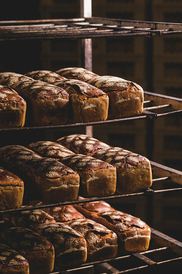 Freshly Baked Bread On Shelves In A Bakery Photograph by Karolina Kosowicz