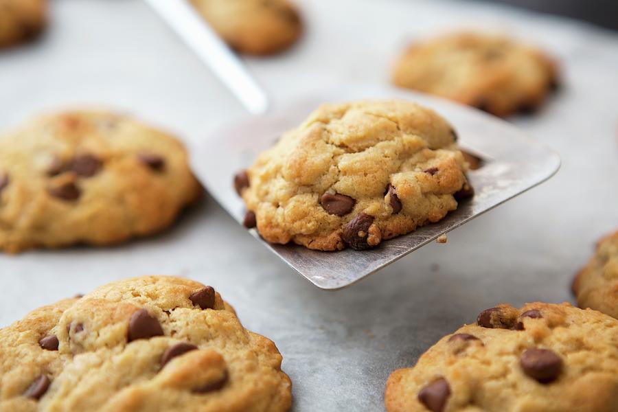 Freshly Baked Chocolate Chip Cookies On A Spatula And On A Baking Tray Photograph by Carine Lutt