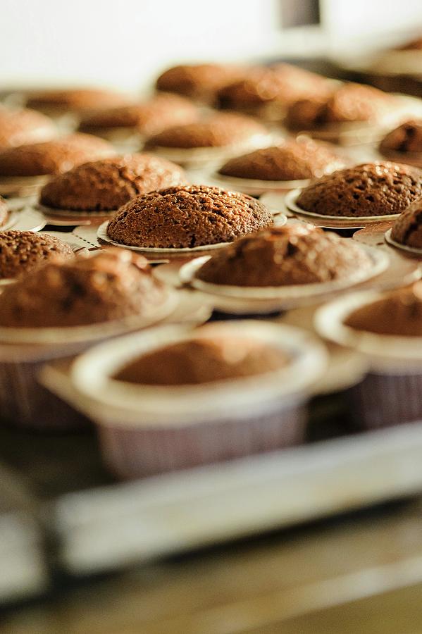 Freshly Baked Chocolate Muffins In Paper Cases Photograph by Rita Newman