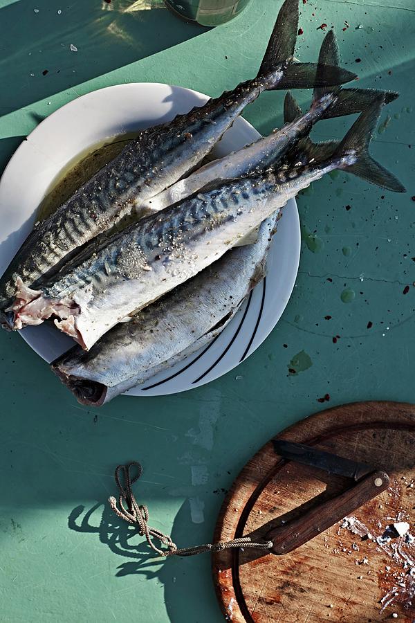 Fish Photograph - Freshly Caught Mackerel At The Harbour In Copenhagen by Ulf Svane