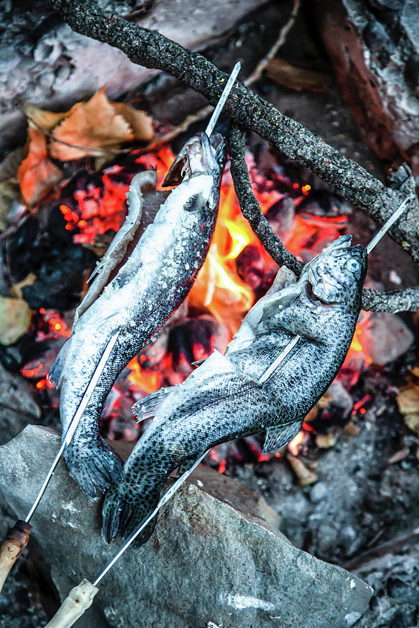 Freshly Caught Trout On Skewers Over A Fire Photograph by Rika Manabe Photography