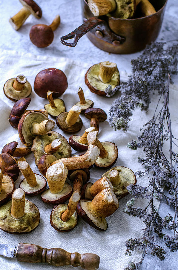 Freshly Cut Forest Edible Mushrooms On A Towel And Dried Flowers Photograph by Gorobina