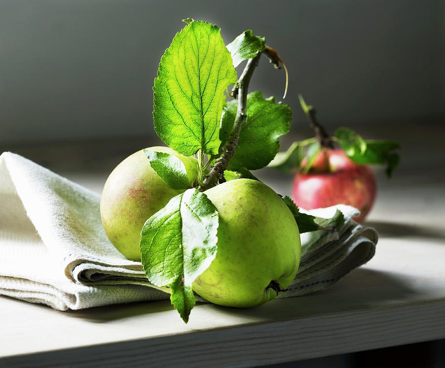Freshly Harvested Apples On A Twig With Leaves Photograph by Mikkel Adsbl