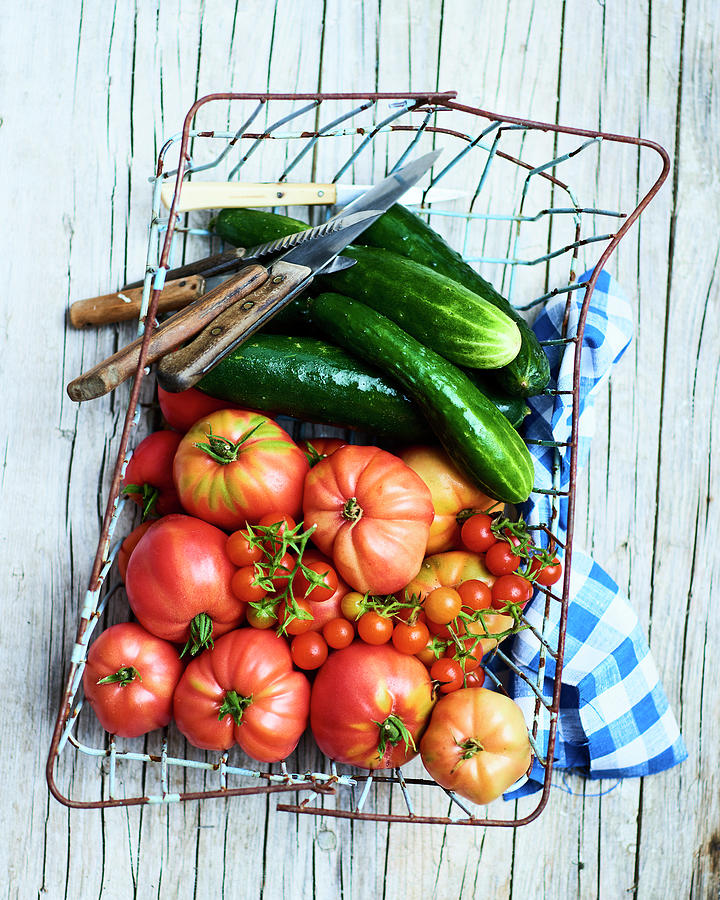 Freshly Harvested Tomatoes And Cucumbers In A Basket Photograph by Miha Lorencak