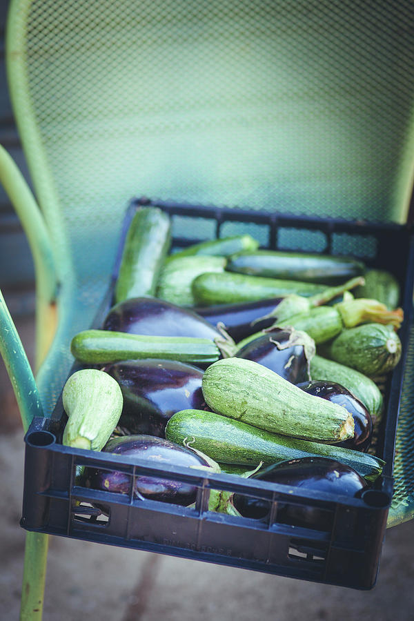 Freshly Harvested Zucchini And Eggplant In Crates Photograph by Eising Studio