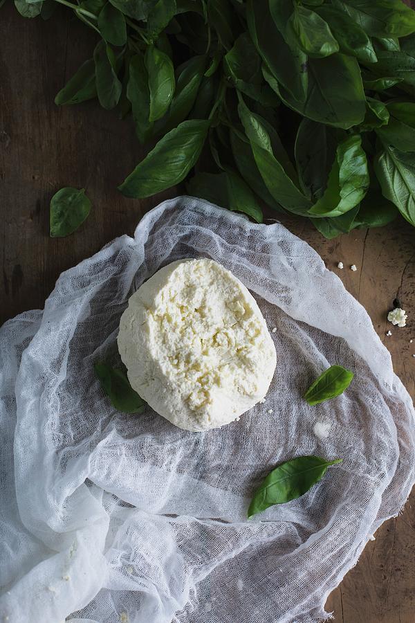 Freshly Made Ricotta On A Cheesecloth With Basil Photograph by Rose Hewartson