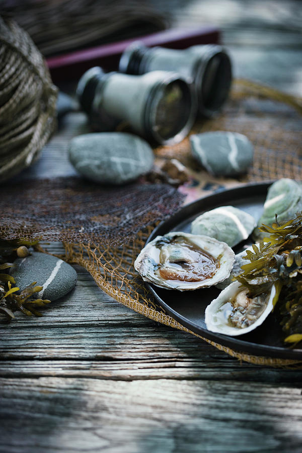 Freshly Opened Oysters With Seaweed On A Plate With A Fishing Net Photograph by Colin Cooke