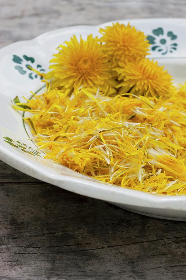 Freshly Picked Dandelion Petals And Whole Flower Heads On Old Plate Photograph by Sabine Lscher
