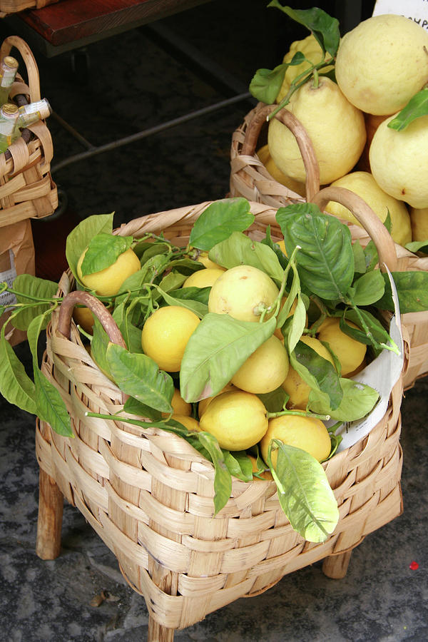 Freshly Picked Lemons In A Basket Photograph by Angelafoto