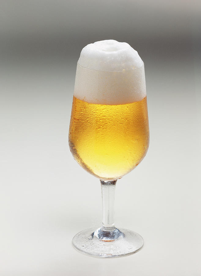 Freshly Poured Pilsner In The Glass Photograph by Teubner Foodfoto