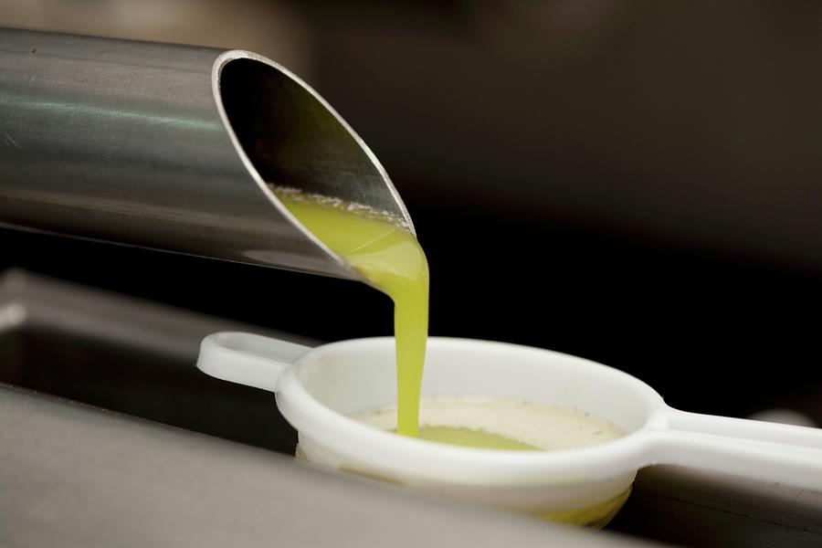 Freshly Pressed Olive Oil Flowing From A Pie Into A Sieve Photograph by Creative Photo Services