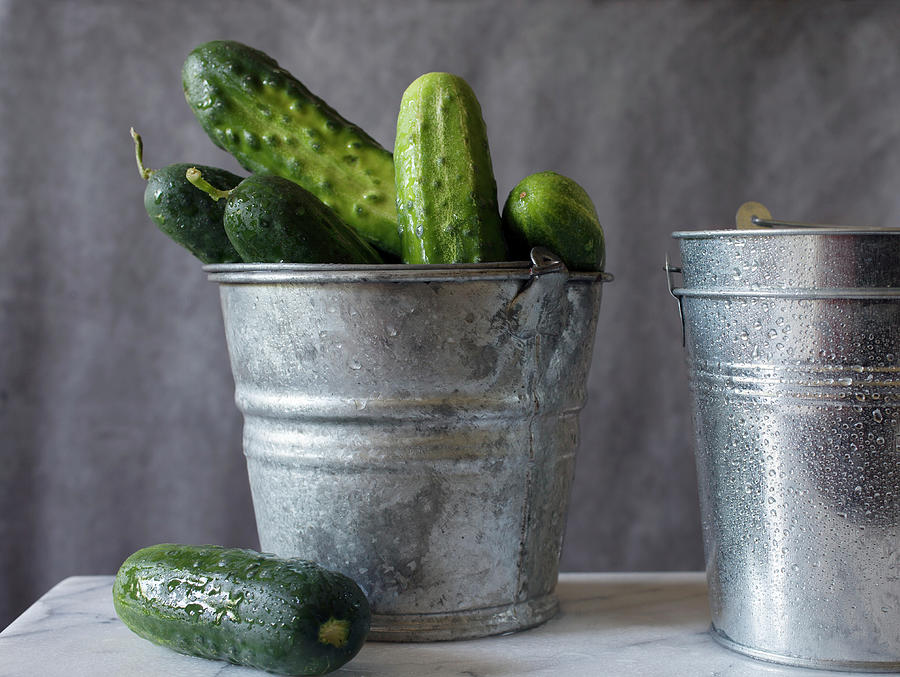 Freshly Washed Kirby Cucumbers Piled In A Galvanized Bucket Photograph by Katharine Pollak