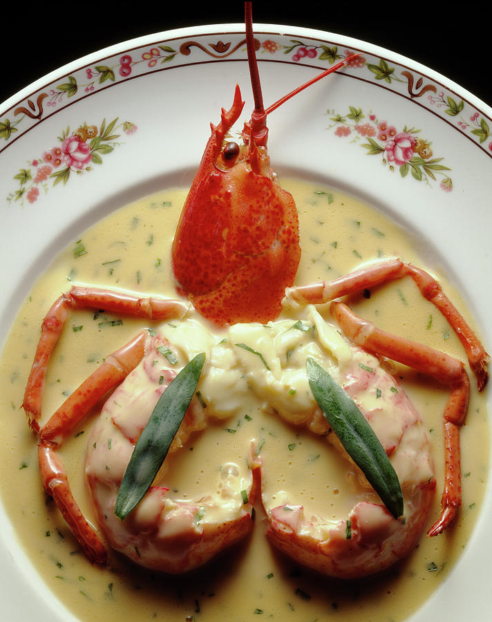 Fricassee De Homard A La Creme D Estragon Lobster Fricasseewith Creamy Tarragon Sauce Photograph