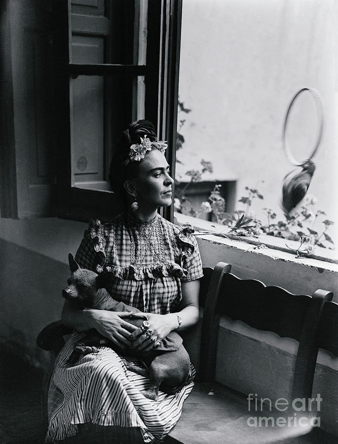 Frida Kahlo Holding Her Dog Photograph by Bettmann