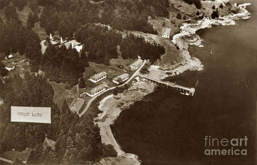 University Of Washington Photograph - Friday Harbor Laboratories San Juan Island Washington 1940 by Monterey County Historical Society