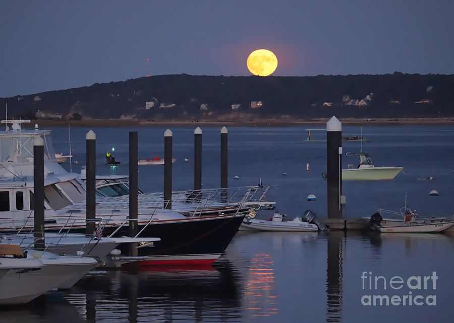 Friday the 13th Full Moon Photograph by Janice Drew