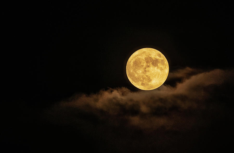 Friday The 13th Harvest Full Moon  Photograph by Saija Lehtonen