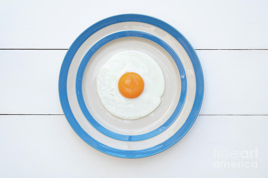 Egg Photograph - Fried Egg by Tim Gainey