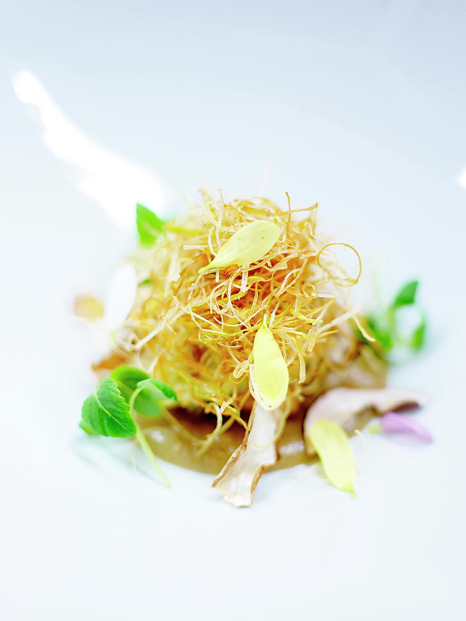 Fried Leek Nest With Flower Petals And Treacle Photograph by Amiel
