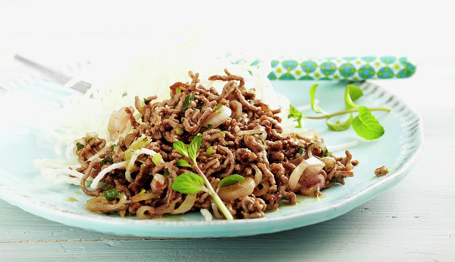 Fried Minced Beef And Onion Salad Photograph by Teubner Foodfoto