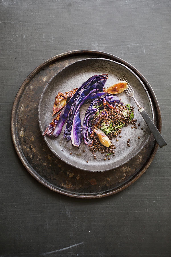 Fried Red Cabbage With Shallots, Beluga Lentils And Dill Photograph by Tina Engel