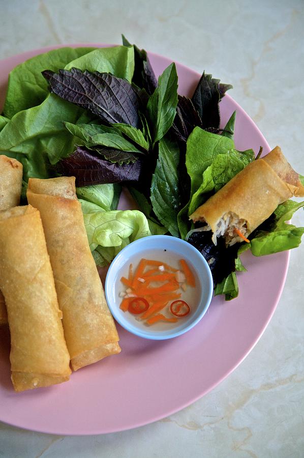 Fried Spring Rolls vietnam Photograph by Andre Baranowski