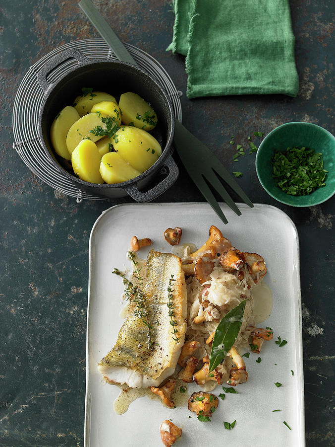 Fried Zander Fillet With Cream Chanterelle Mushroom And Cabbage, And Parsley Potatoes Photograph by Jan-peter Westermann