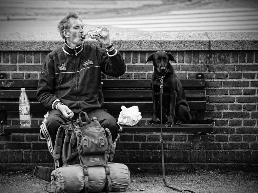 Dog Photograph - Friends by Stefan Nielsen