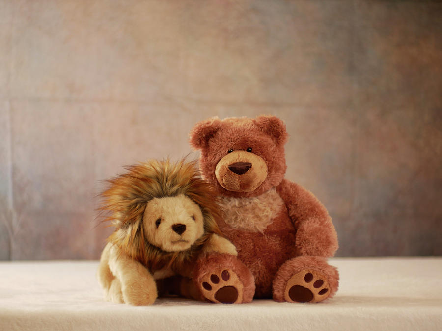 teddy bear and friends