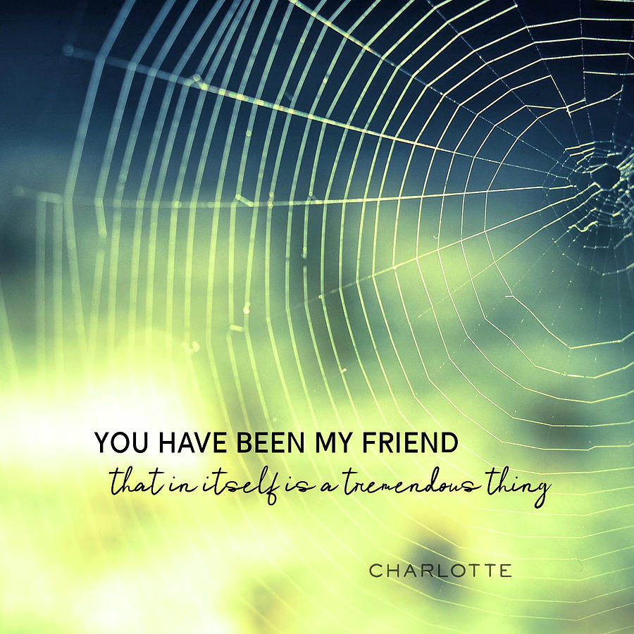 FRIENDSHIP quote Photograph by Jamart Photography
