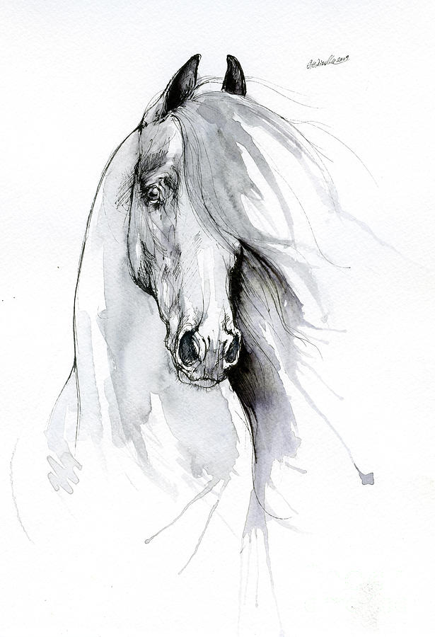 Friesian horse 2019 09 06 by Angel Ciesniarska Friesian horse 2019 09 06 by Angel Ciesniarska