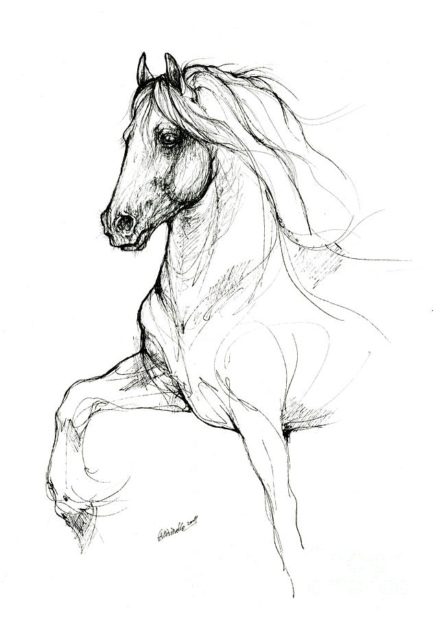 Friesian horse 2019 09 12 by Angel Ciesniarska Friesian horse 2019 09 12 by Angel Ciesniarska