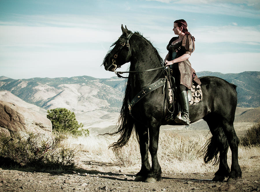 Friesian Stallion by Anett Mindermann Friesian Stallion by Anett Mindermann