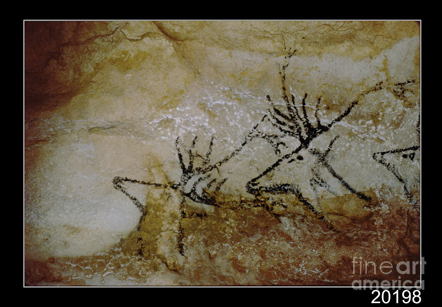 Prehistoric Painting - Frieze Of Deer, C.17000 Bc by Prehistoric